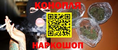 сатива Пенза