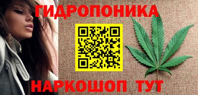 соль ск Партизанск