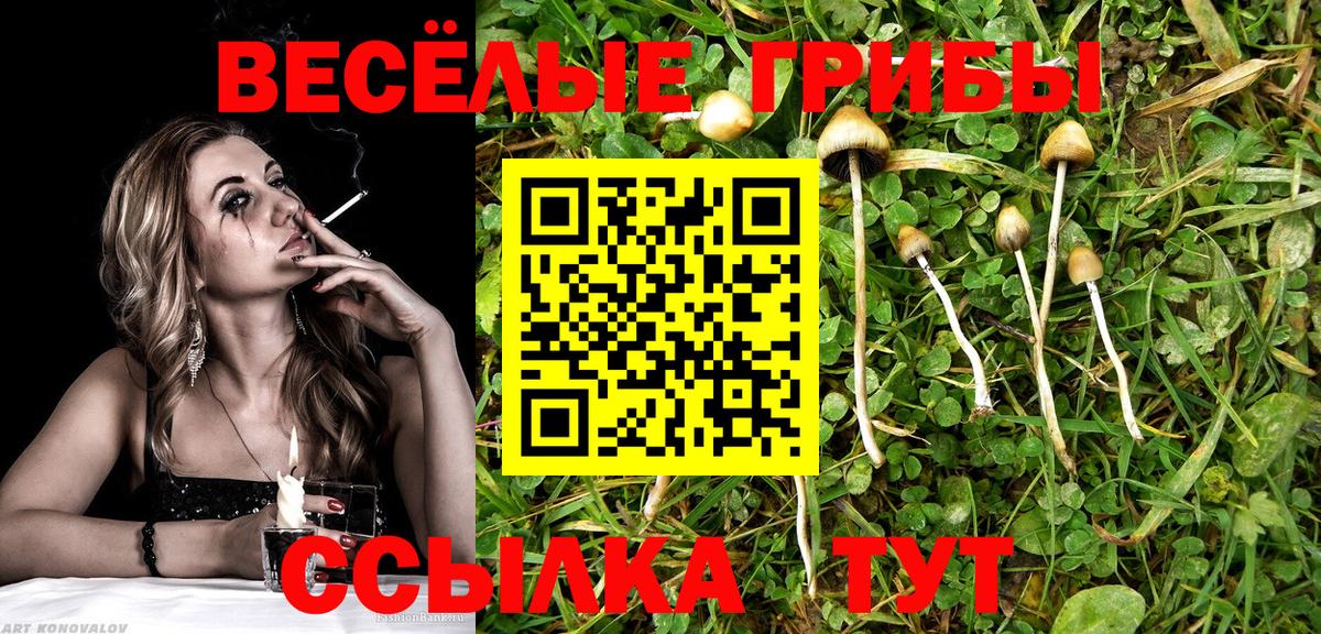 Галлюциногенные грибы прущие грибы Серов